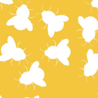 Bee iPhone wallpaper