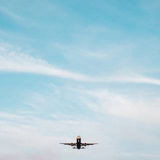 Summer iPhone 8 Plus wallpaper