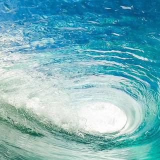 Summer iPhone 8 Plus wallpaper