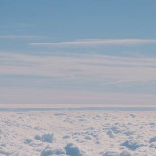 Summer iPhone 8 Plus wallpaper