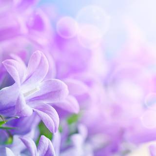 Morning Glory cloud 4k wallpaper