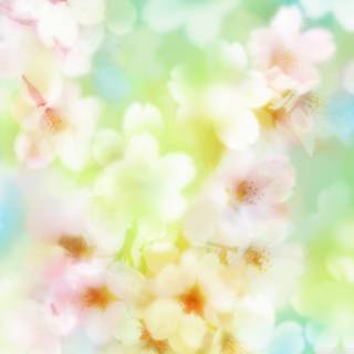 Ultra flower bloom wallpaper