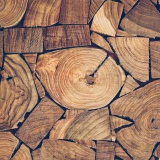 Wood design wallpaper