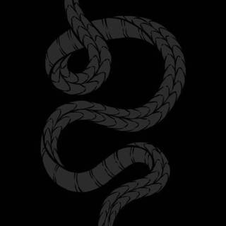 Snake phone wallpaper