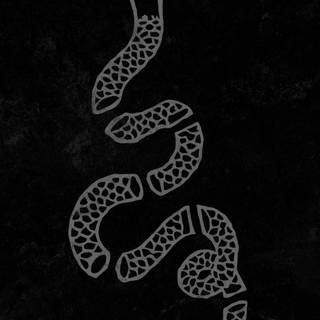 Snake phone wallpaper
