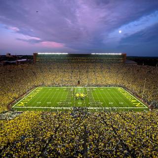 Michigan Stadium wallpaper