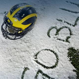 Michigan Stadium wallpaper
