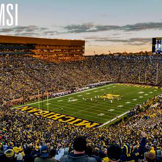 Michigan Stadium wallpaper