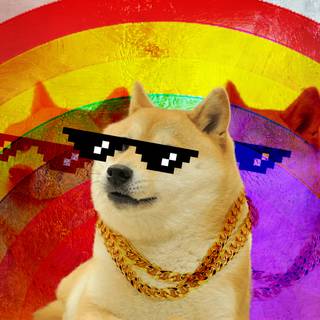 Dog with sunglasses wallpaper