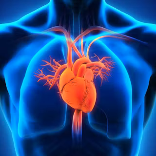 Cardiologist wallpaper