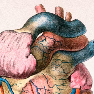 Cardiologist wallpaper