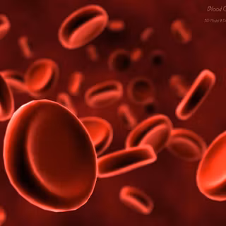 Cardiologist wallpaper