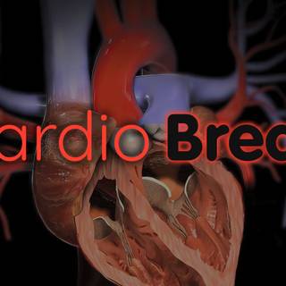 Cardiologist wallpaper