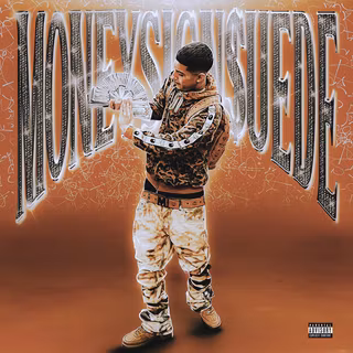 MoneySign Suede wallpaper