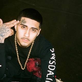 MoneySign Suede wallpaper