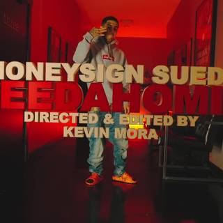 MoneySign Suede wallpaper