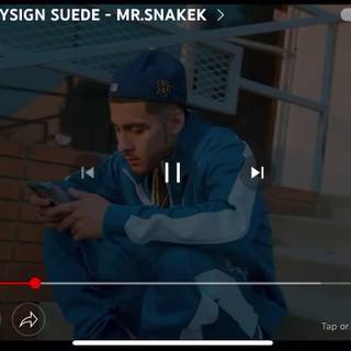 MoneySign Suede wallpaper