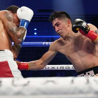 Gervonta Davis vs Leo Santa Cruz wallpaper