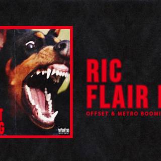 Ric Flair Drip wallpaper