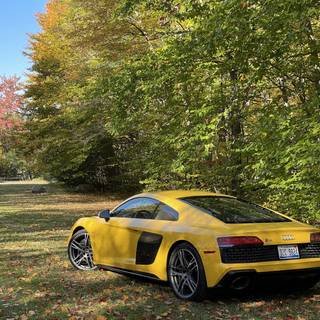 Audi Spyder 2023 wallpaper