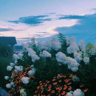 Aesthetic spring season iPad wallpaper