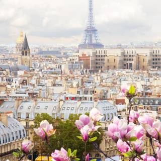 Aesthetic spring season iPad wallpaper