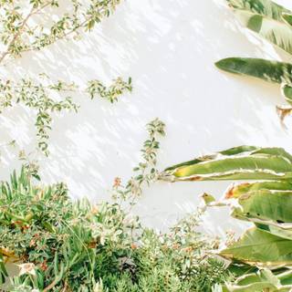 Aesthetic spring season iPad wallpaper