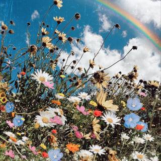 Aesthetic spring season iPad wallpaper