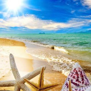 Summer ocean wallpaper