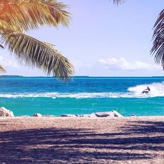 Summer ocean wallpaper