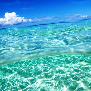 Summer ocean wallpaper