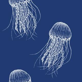 Blue jellyfish wallpaper