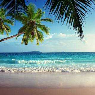 Summer ocean wallpaper