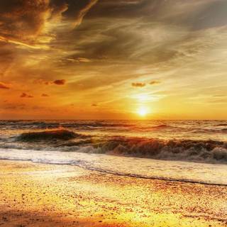 Summer ocean wallpaper