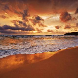 Summer ocean wallpaper