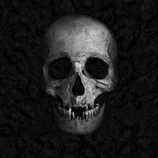 Skull desktop 4k wallpaper