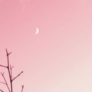 Pink minimalist PlayStation wallpaper