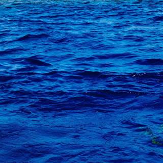 Blue sea phone wallpaper