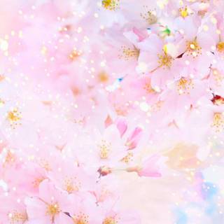 Colorful spring nature wallpaper