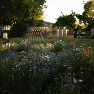 Wildflowers meadow wallpaper