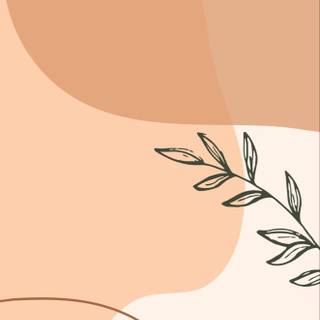 Aesthetic khaki wallpaper