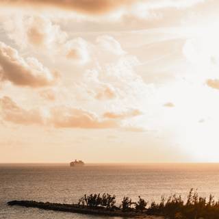 Aesthetic khaki wallpaper