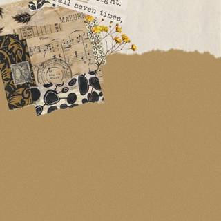 Aesthetic khaki wallpaper