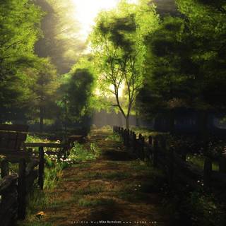 Semi realistic wallpaper