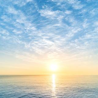 Summer iPad wallpaper