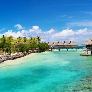 Summer iPad wallpaper