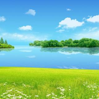 Summer iPad wallpaper