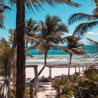 Summer iPad wallpaper