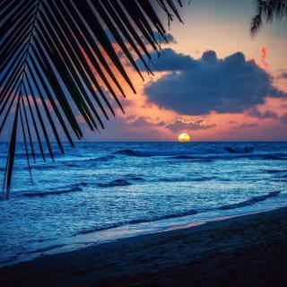 Maldives night wallpaper