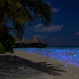 Maldives night wallpaper